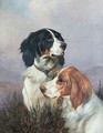 Setters on a Moor - Colin Graeme
