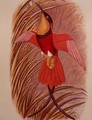 Humming Bird Crimson Topaz - John Gould