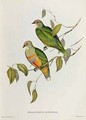 Ptilinopus Ewingii - John Gould