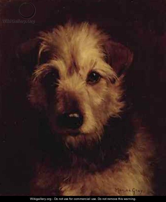 Portrait of a Terrier - Monica Gray