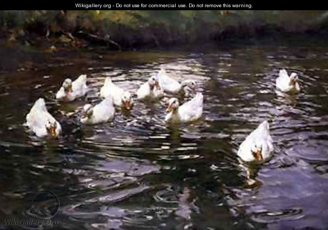 White Ducks on Water - Franz Grassel