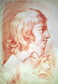 Louis Antoine Leon de Saint Just 1767-94 - Christophe Guerin