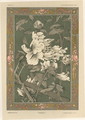 Flowers plate 31 from Fantaisies decoratives - (after) Habert-Dys, Jules-Auguste