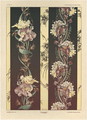 Flowers plate 21 from Fantaisies decoratives - (after) Habert-Dys, Jules-Auguste