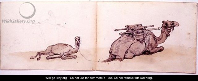 Two sketches of dromedaries - Carl Haag