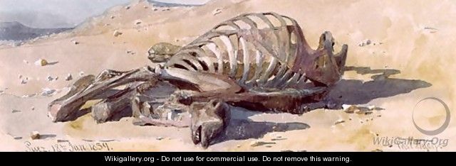 The Bones of a Camel Suez - Carl Haag