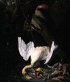 A Hung White Swan Peacock and Other Dead Game in a Landscape - Pieter Gysels