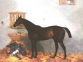 Thoroughbred in a Stable - Harry Hall