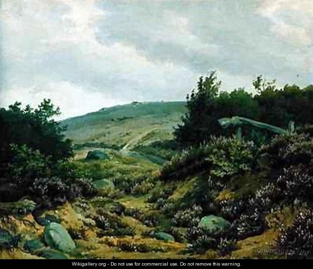 On the Moor - Marcus Johann Haeselich