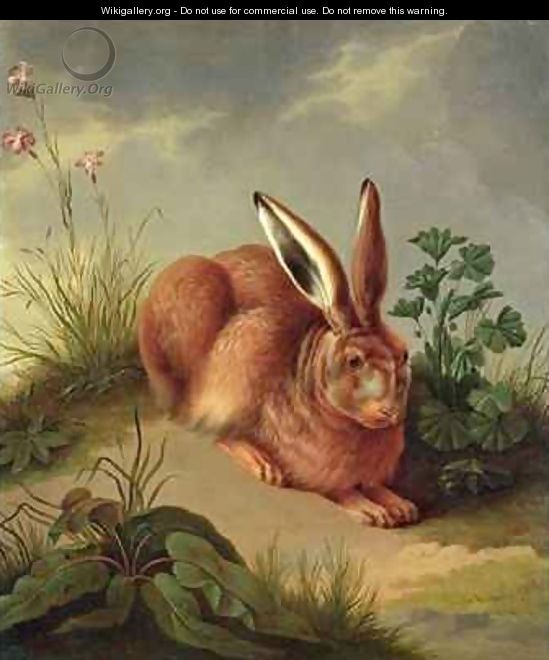 Hare - Johann Gottlieb Hackert