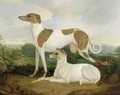 Two Greyhounds in a Landscape - Charles Hancock