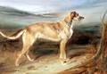 A Scottish Deerhound - Charles Hancock