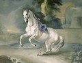 The White Stallion Leal en levade - J.G. & Brand, J.C. Hamilton