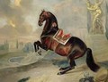 The dark bay horse Valido performing a Levade movement - Johann Georg Hamilton