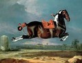 The piebald horse Cehero rearing - Johann Georg Hamilton