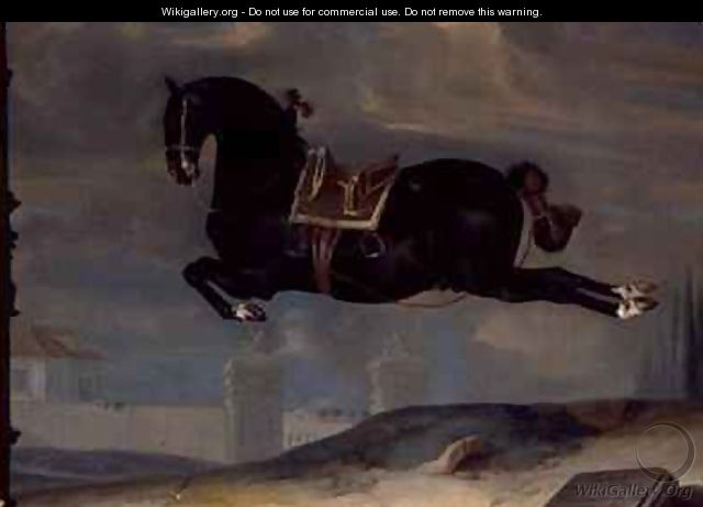 The black horse Curioso performing a Capriole - Johann Georg Hamilton