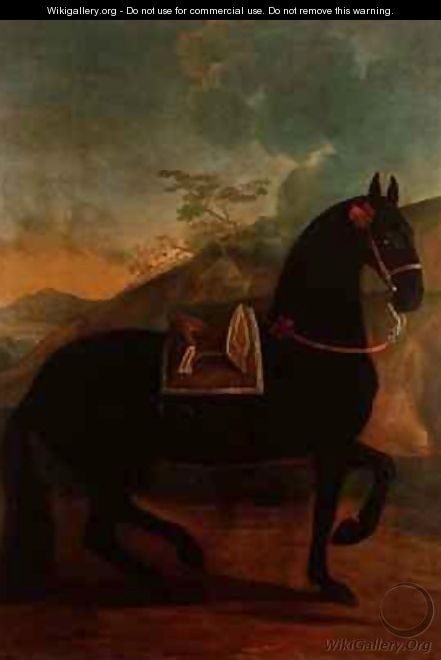 A Black Horse sporting a Spanish Saddle - Johann Georg Hamilton