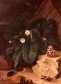 Still Life with Primroses and Insects - Carl Wilhelm de Hamilton