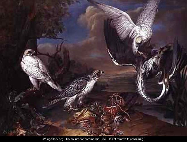 Greenland Cyr Falcons - Ferdinand Phillip de Hamilton