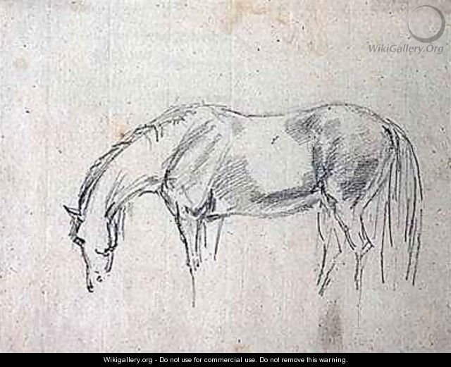 A horse grazing - Sawrey Gilpin