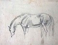 A horse grazing - Sawrey Gilpin