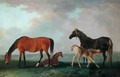 Mares and Foals 3 - Sawrey Gilpin