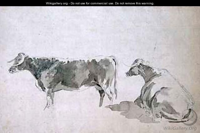 Studies of Cattle - Sawrey Gilpin