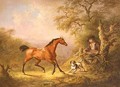 A Groom Feeding a Horse - Sawrey Gilpin