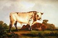 Bull - John Glover