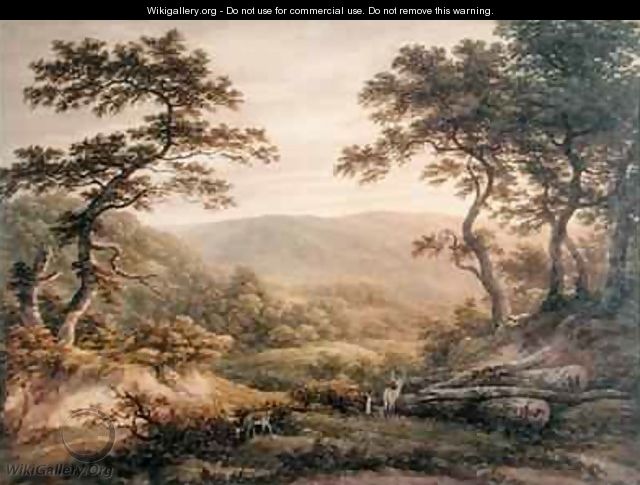 Needlewood Forest Hampshire - John Glover