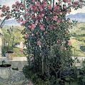 Valley in Umbria - Aleksandr Jakovlevic Golovin