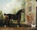 Lord Abergavennys Dark Bay Carriage Horse with a Terrier - Thomas Gooch