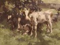 Calves Under a Tree - David Gould