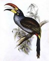 John Gould