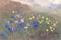 Spring Mountain Flowers - Kate (nee Mallison) Goodwin