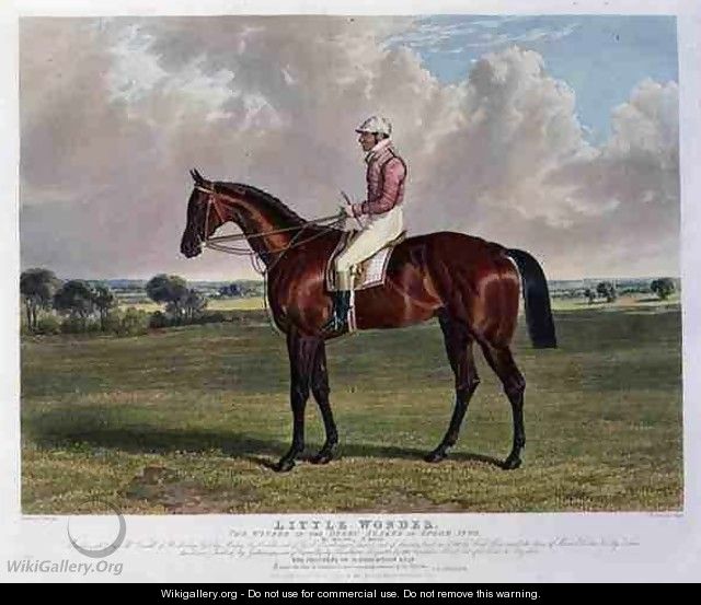 Little Wonder the Winner of the Derby Stakes at Epsom - (after) Herring Snr, John Frederick
