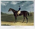 Cadland the Winner of the Derby Stakes at Epsom - (after) Herring Snr, John Frederick