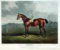 Tarrare the Winner of the Great St Leger at Doncaster - (after) Herring Snr, John Frederick