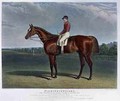 Plenipotentiary the Winner of the Derby Stakes at Epsom 1834 - (after) Herring Snr, John Frederick