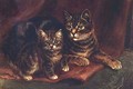 A Tabby Cat with a Kitten - Wilson Hepple