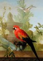 A Macaw and a Dove in an ornamental Garden - Gerrit van den Heuvel