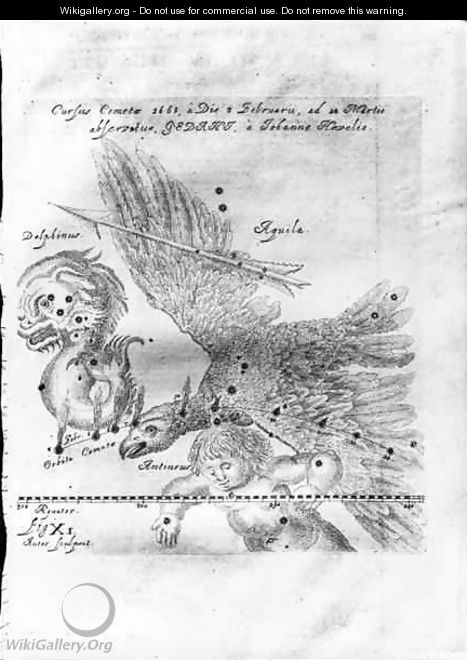 The Comet discovered and observed by Johannes Hevelius - Johannes Hevelius
