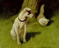 White Persian Cat and Jack Russell - Arthur Heyer