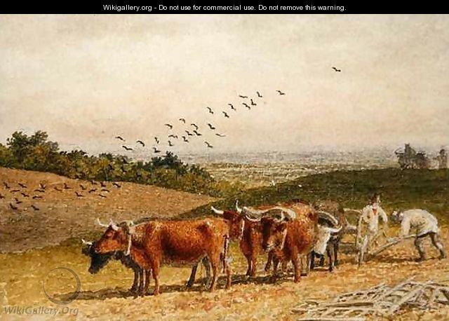 Oxen Ploughing a Downland Field - Robert Hills