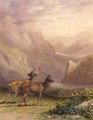 Deer in the Highlands - Robert Hills