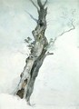 Tree Study - Robert Hills