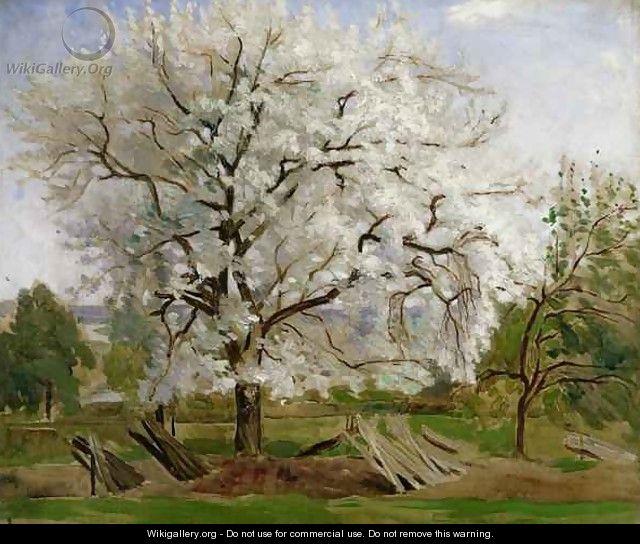 Apple Tree in Blossom - Carl Fredrik Hill