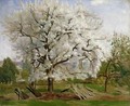 Apple Tree in Blossom - Carl Fredrik Hill