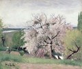 Fruit Tree in Blossom Bois le Roi - Carl Fredrik Hill