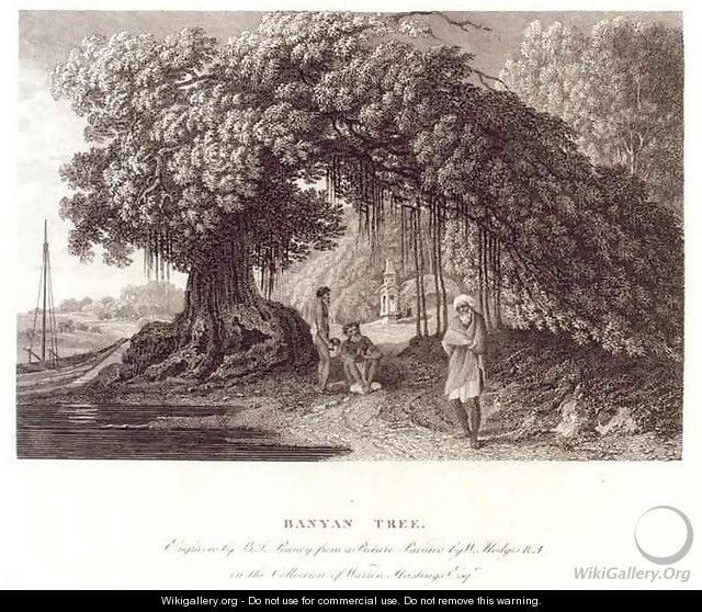 A Banyan Tree from Travels in India in in the Years 1780-83 - (after) Hodges, William